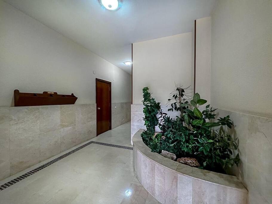 Apartamento En La Estacion De Trenes Jerez de la Frontera Eksteriør bilde